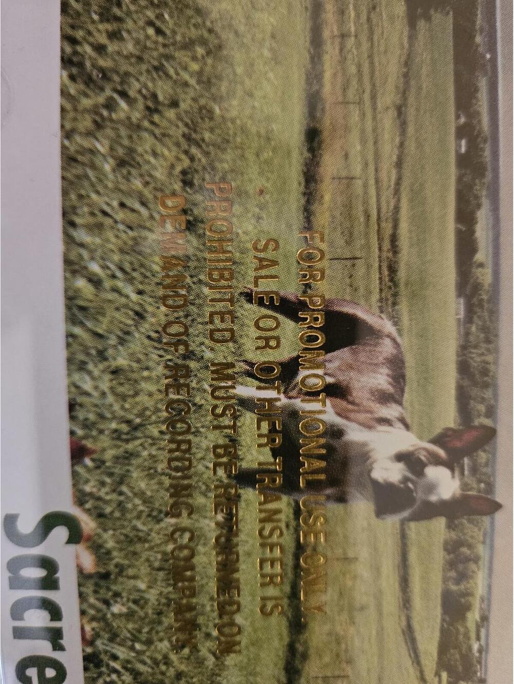 Geggy Tah - Sacred Cow - PROMO - CD 1996 Alternative Rock - EUC